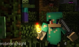 我的世界生存视频,我的世界生存之旅